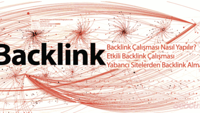 Backlink Stratejisi